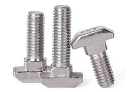 Drop-in Hammer Head T Bolt